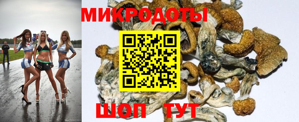 Псилоцибиновые грибы GOLDEN TEACHER Заводоуковск