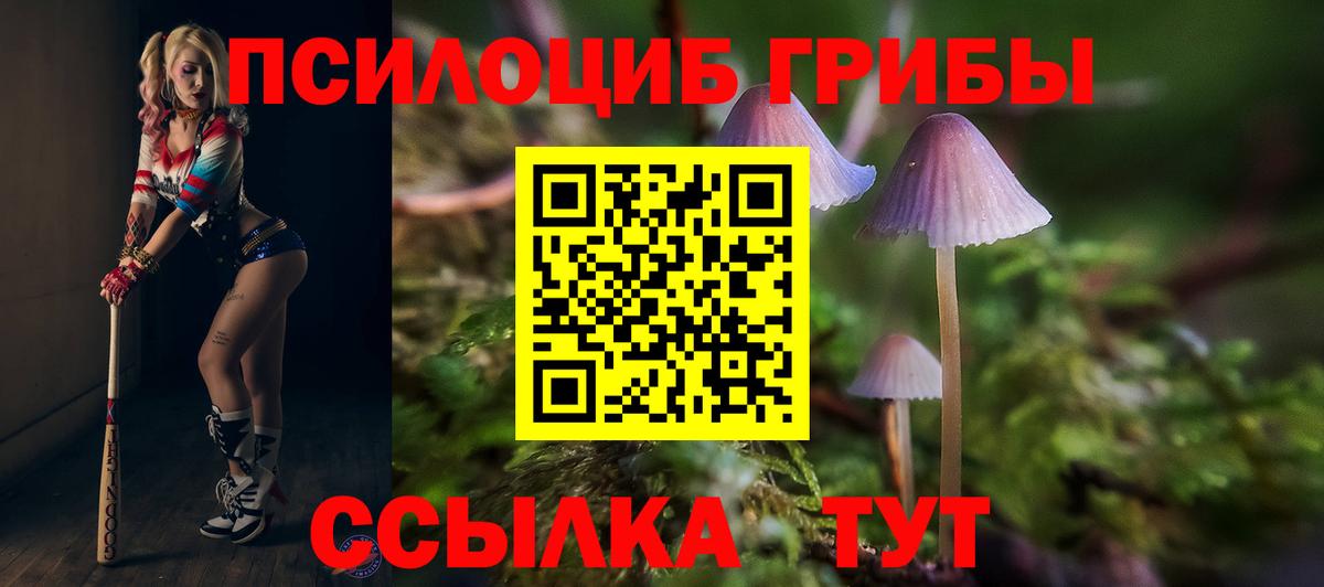 Галлюциногенные грибы ЛСД  Галлюциногенные грибы Cubensis  Вход с VPN  Заводоуковск 